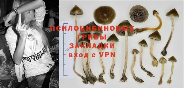 хмурый Медногорск